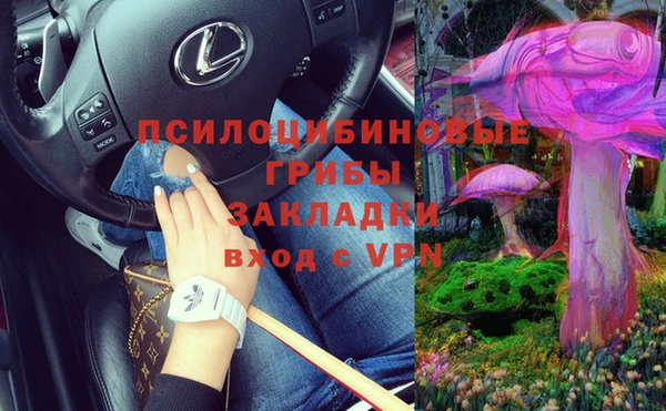 a pvp Аркадак